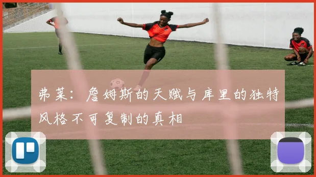 弗莱：詹姆斯的天赋与库里的独特风格不可复制的真相
