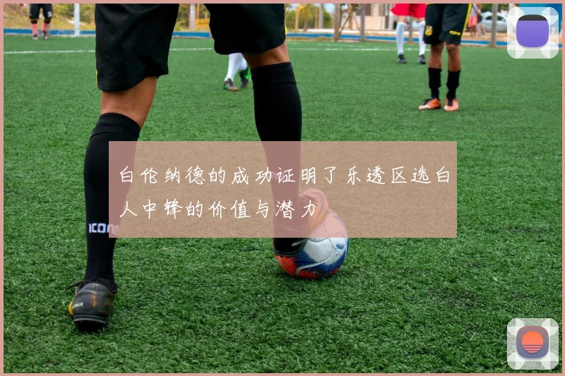 白伦纳德的成功证明了乐透区选白人中锋的价值与潜力